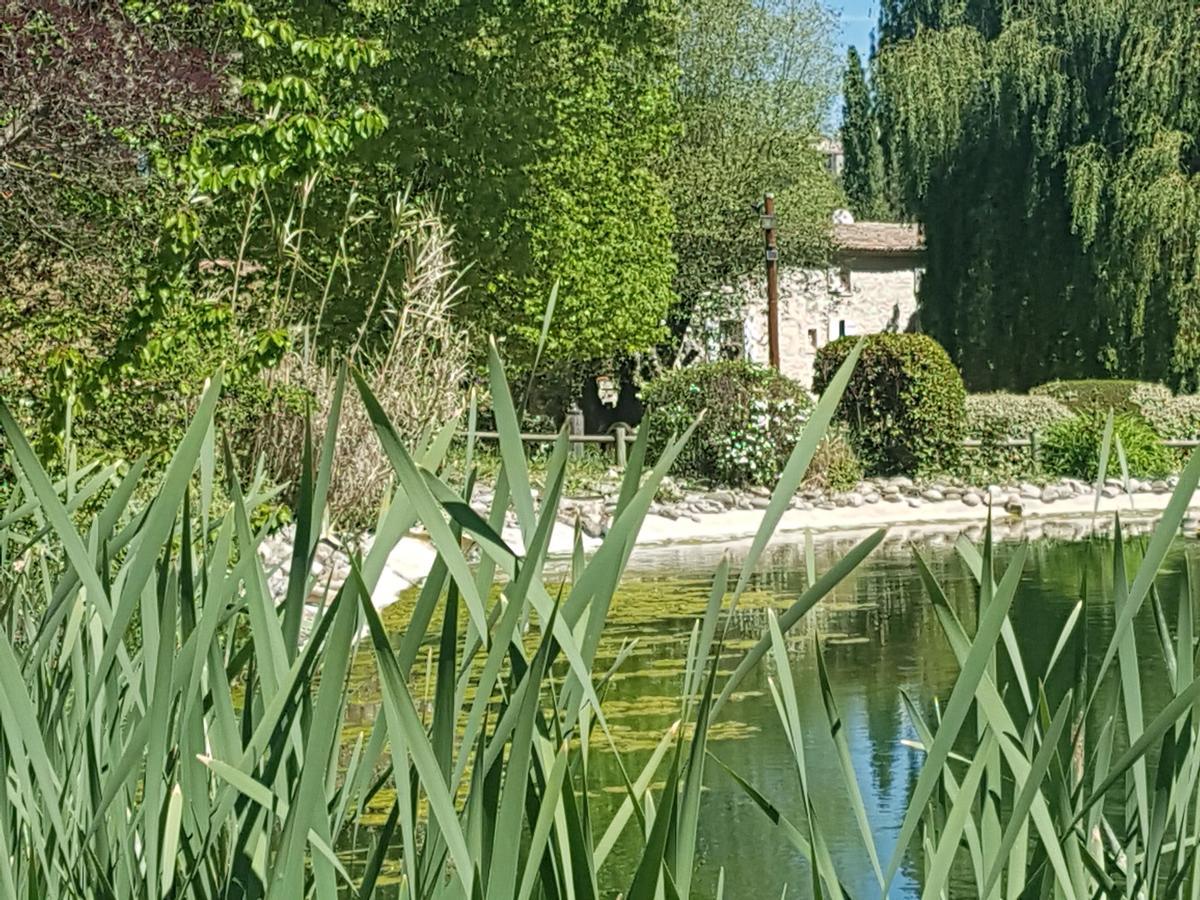 La Campagne St Lazare - Restaurant Chambres d'Hôtes Piscine&SPA Forcalquier Exterior foto